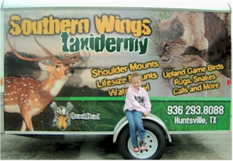 Southern Wings Taxidermy Trailer